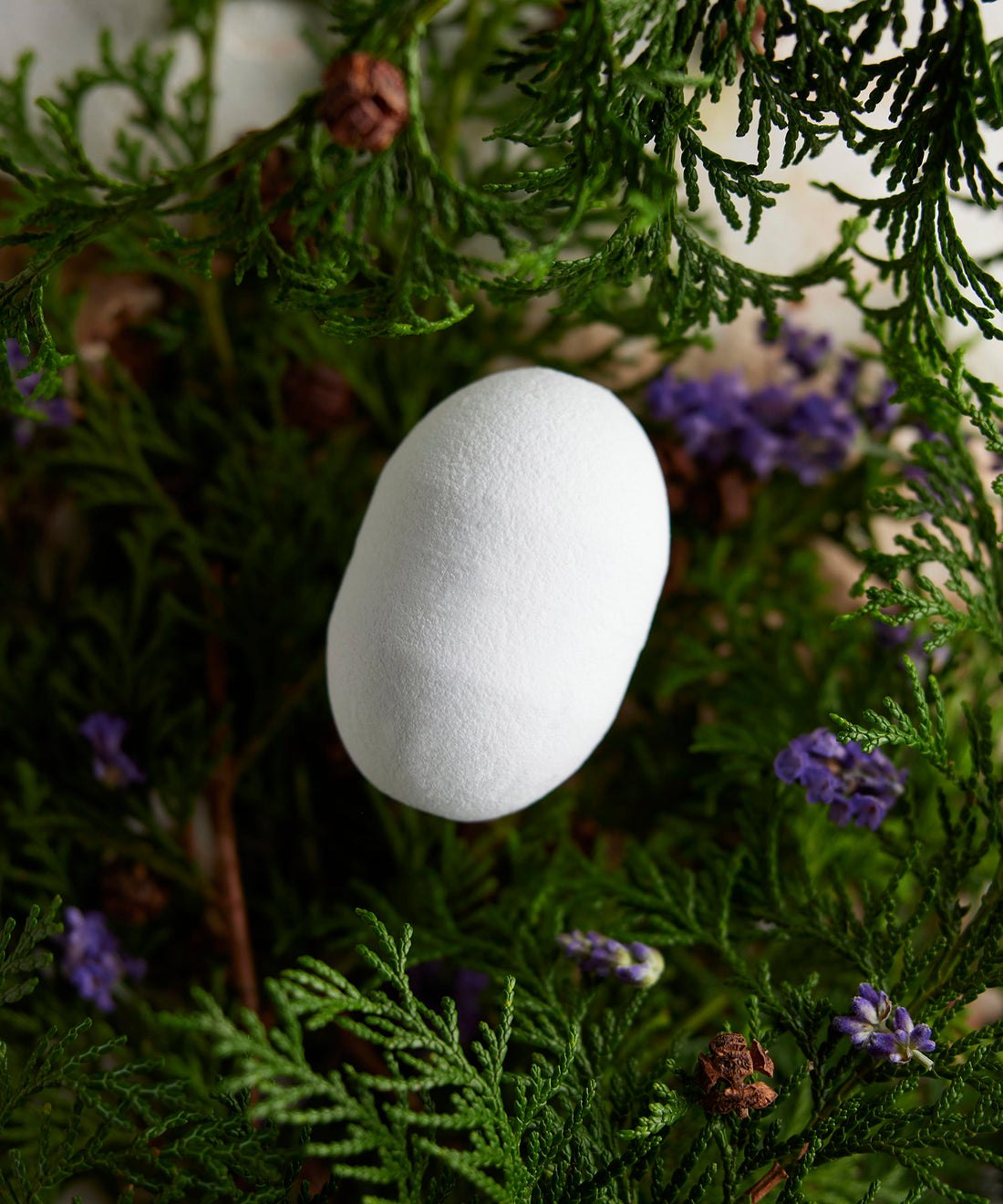 THE Fragrance Bath bomb