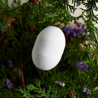 THE Fragrance Bath bomb